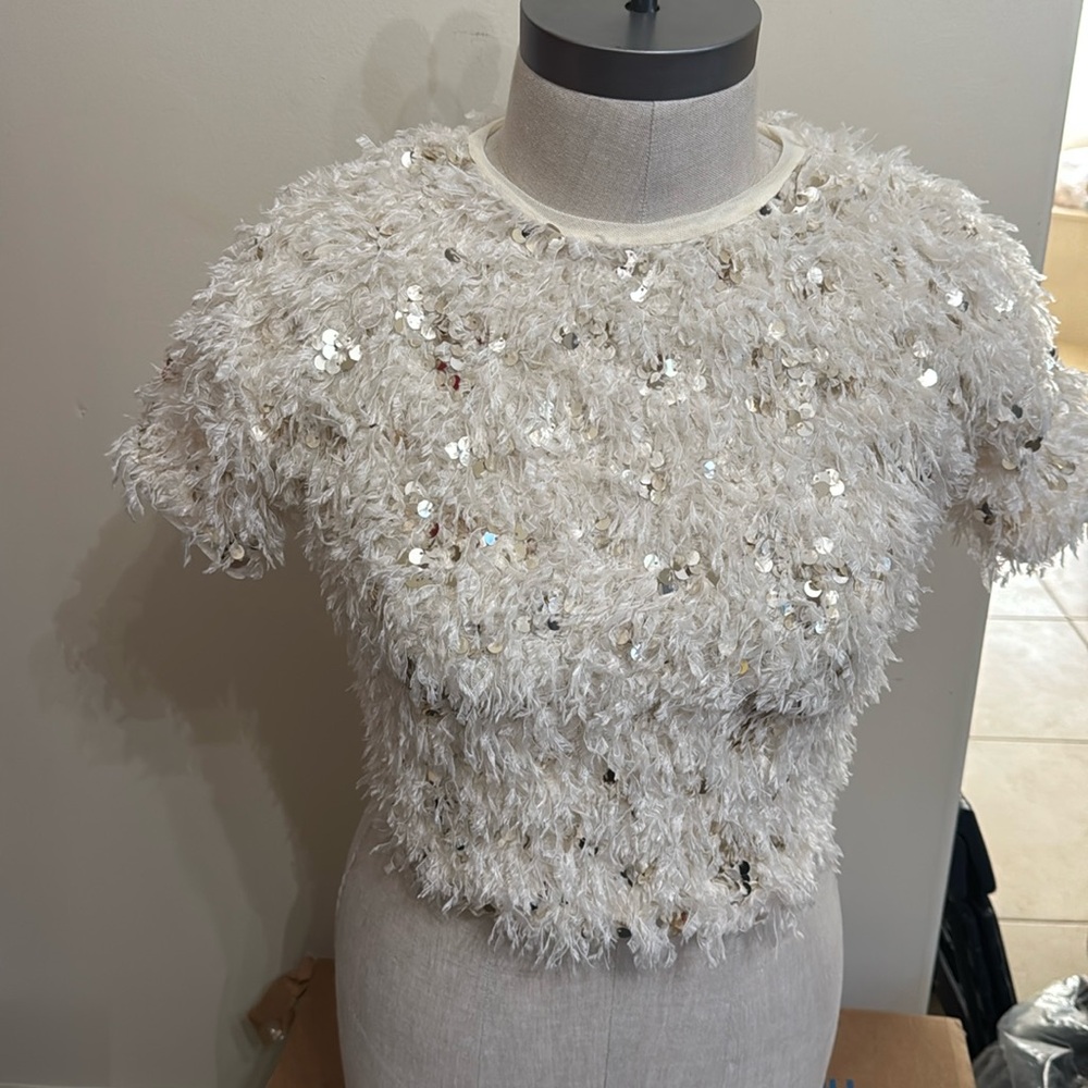 Zara Cream Sequin Fringe Short Sleeve Top